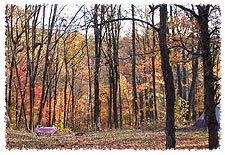 Picnicking at a campsite