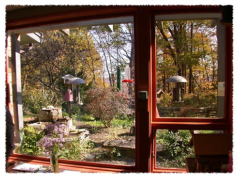 Nature Center bird observation window