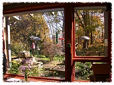 Nature Center bird observation window
