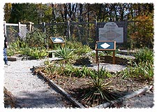 Nature Center Interpretive Gardens