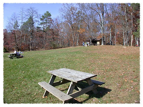 Picnic Area with Shelter at Ogle Lake