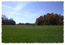 Playing Field