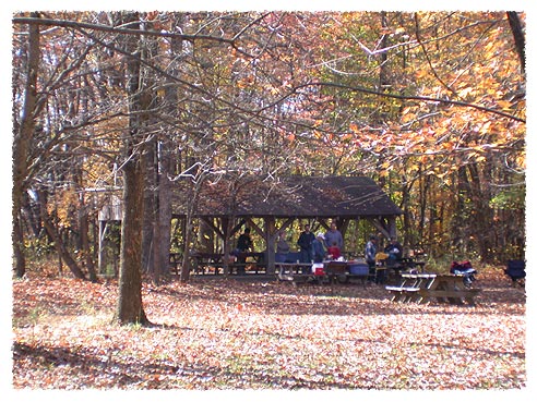 tulip_tree_shelter1lg