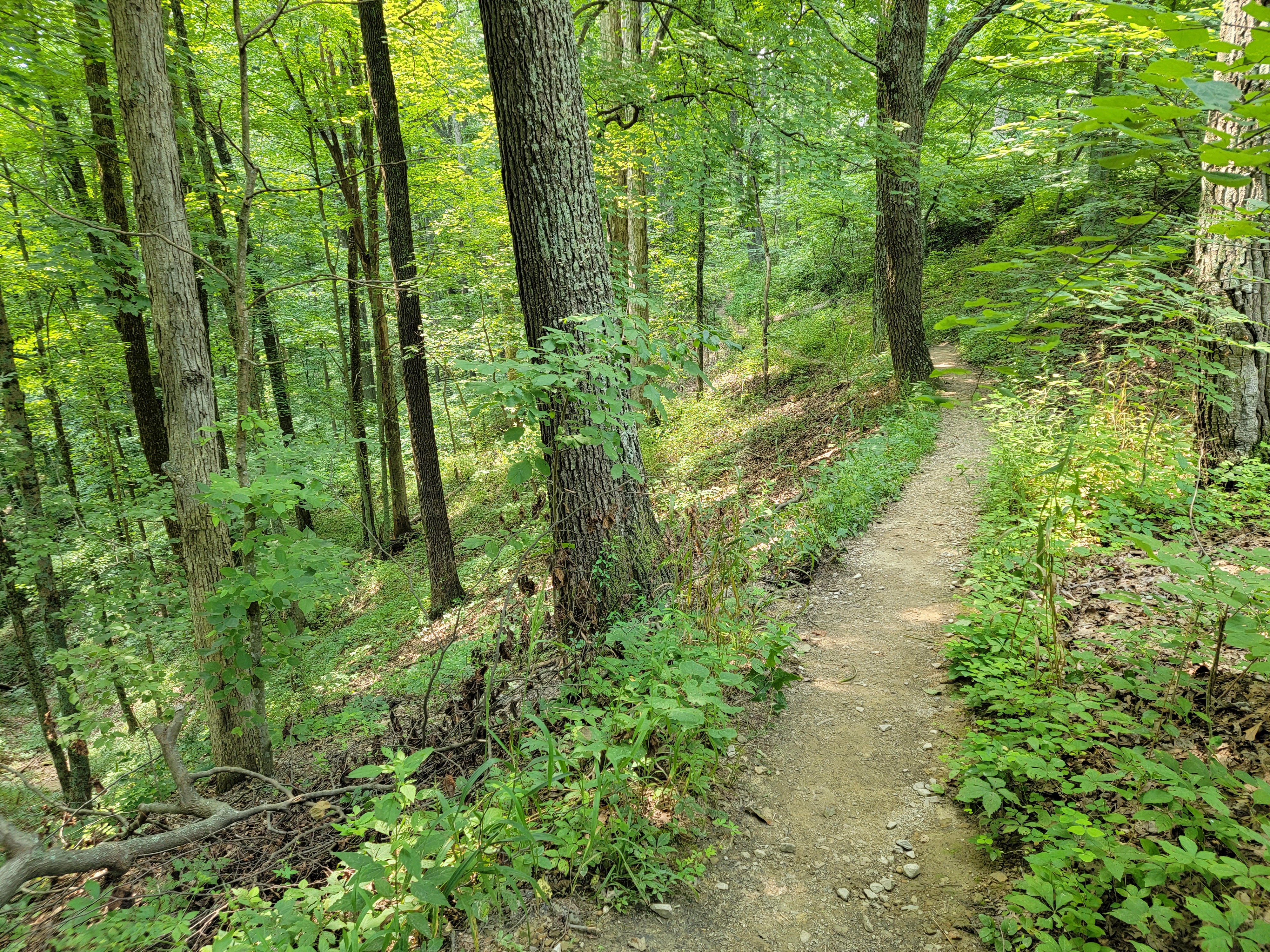 Hiking Trails - Brown County State Park, Indiana