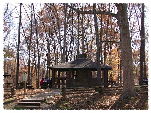 Picnic Area Picture Brown County State Park Indiana